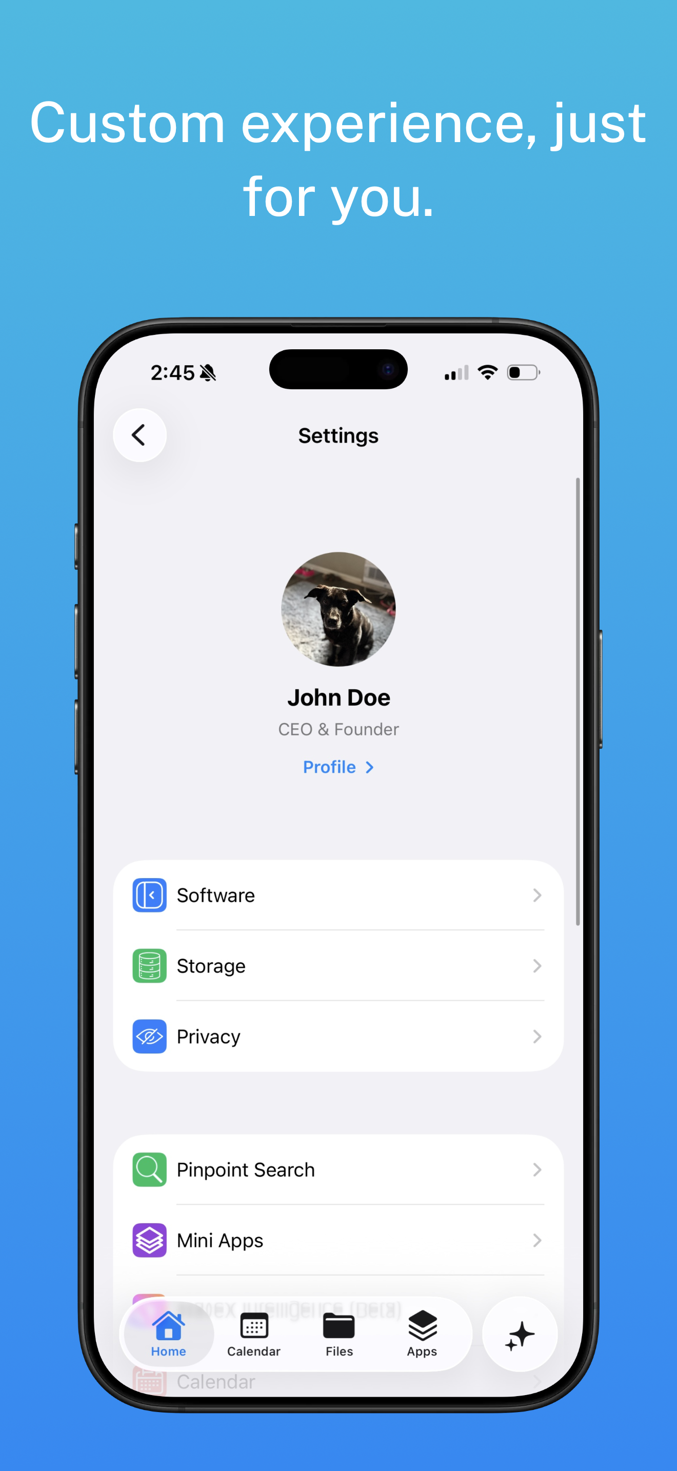 Saphire iOS screenshot 10