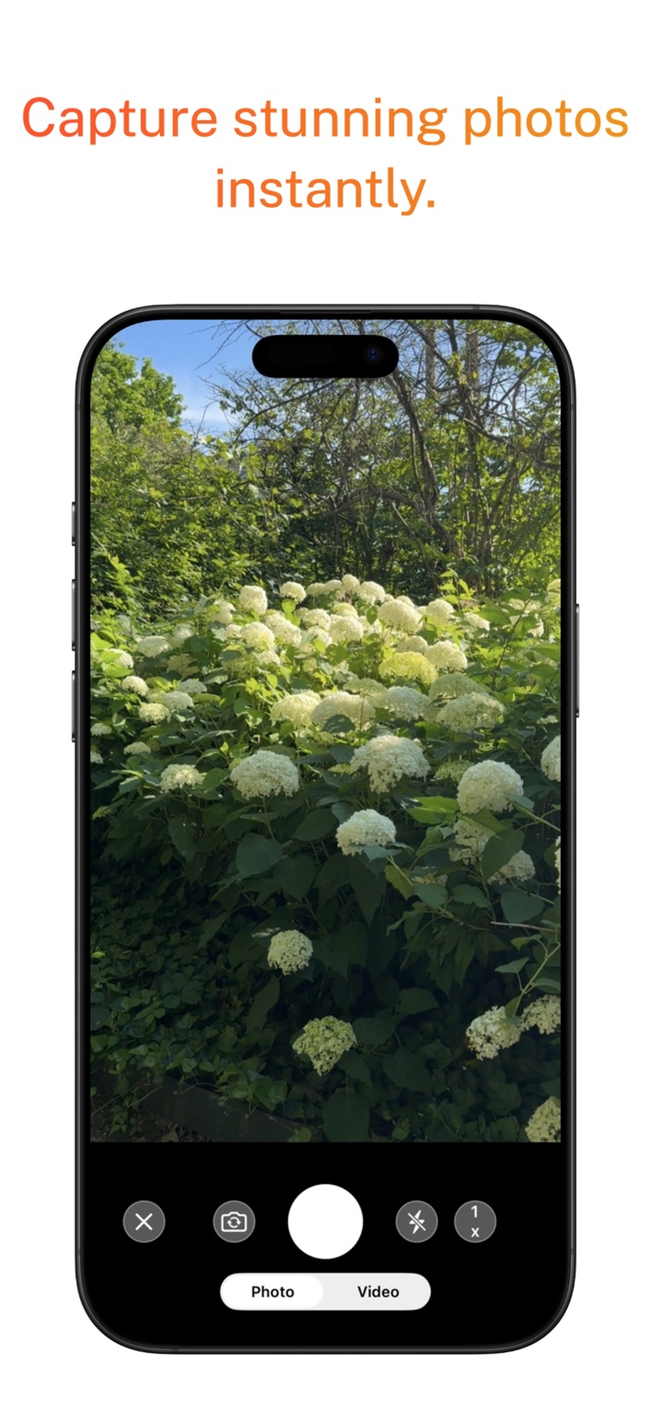 PhotosOne screenshot 3