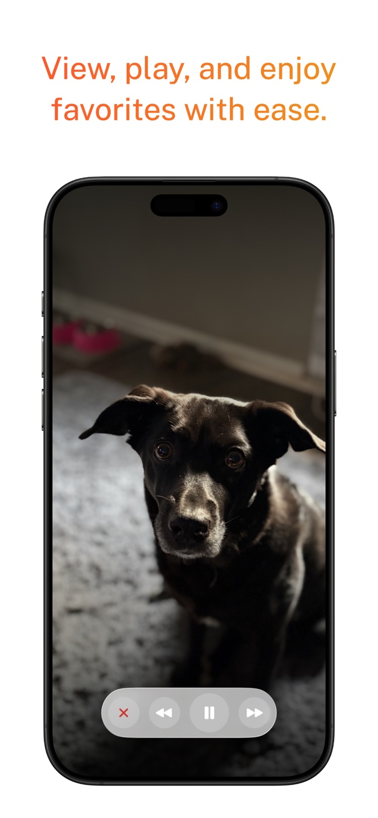 PhotosOne screenshot 5